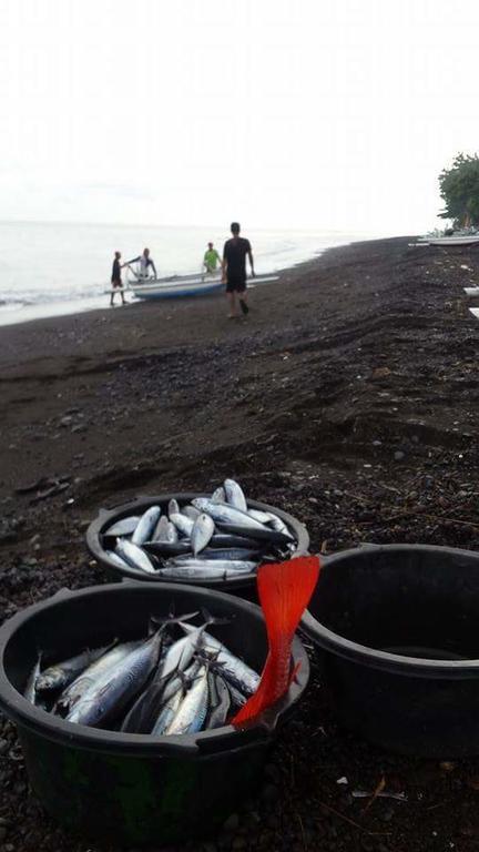 Alur Beach Homestay Amed  Luaran gambar